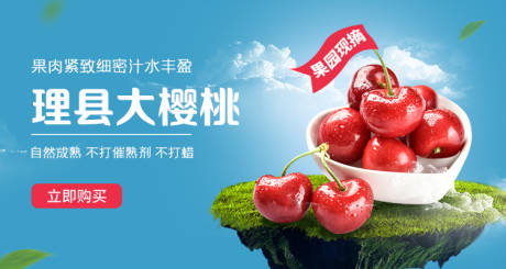 源文件下载【水果樱桃车厘子banner】编号：75870021238671086