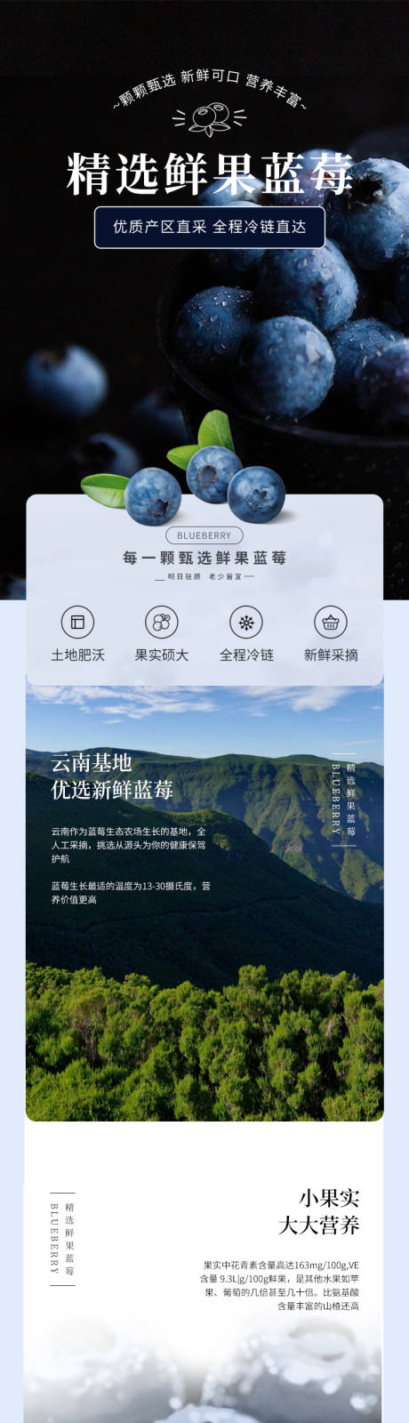 源文件下载【享设计】搜索编号：11250021020319006【蓝莓详情页】