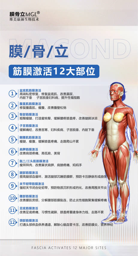 源文件下載【享設(shè)計】搜索編號：37260020971979904【筋膜激活產(chǎn)品簡約海報】