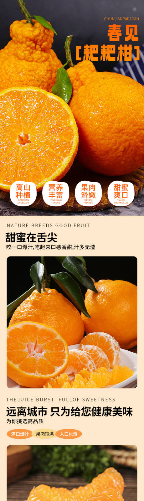 源文件下载【春见耙耙柑详情页】编号：80590020948946241