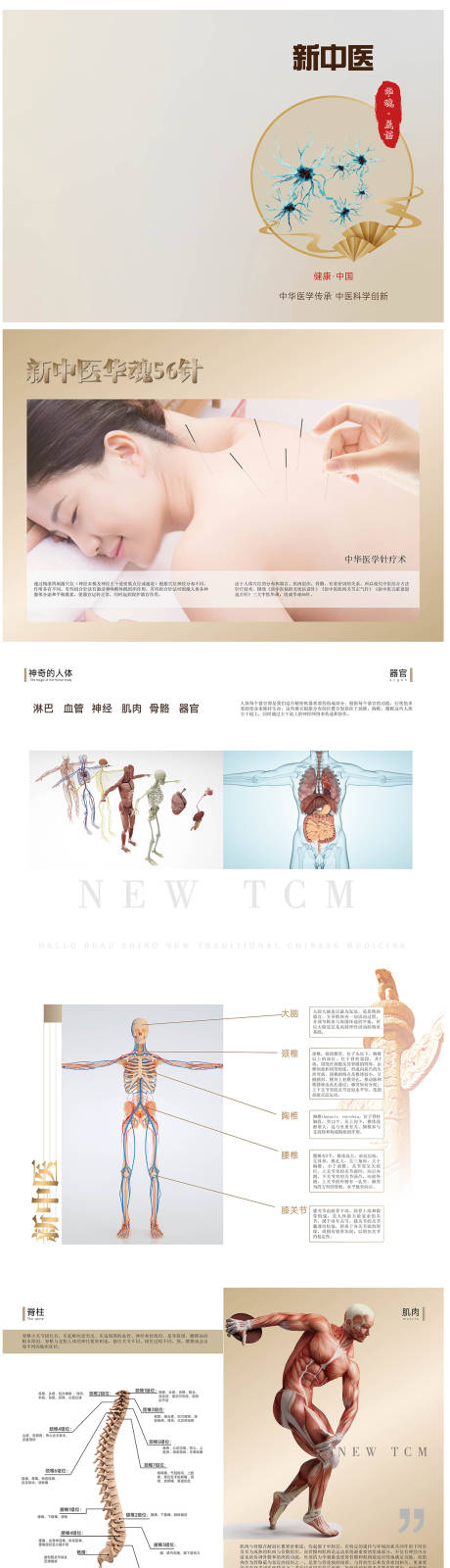 源文件下载【中医穴位人体介绍宣传册】编号：97950020861417676