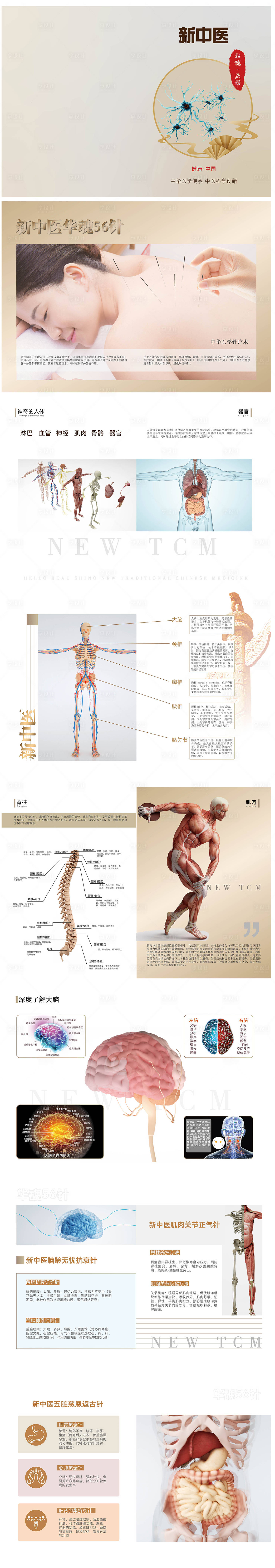 源文件下载【享设计】搜索编号：97950020861417676【中医穴位人体介绍宣传册】