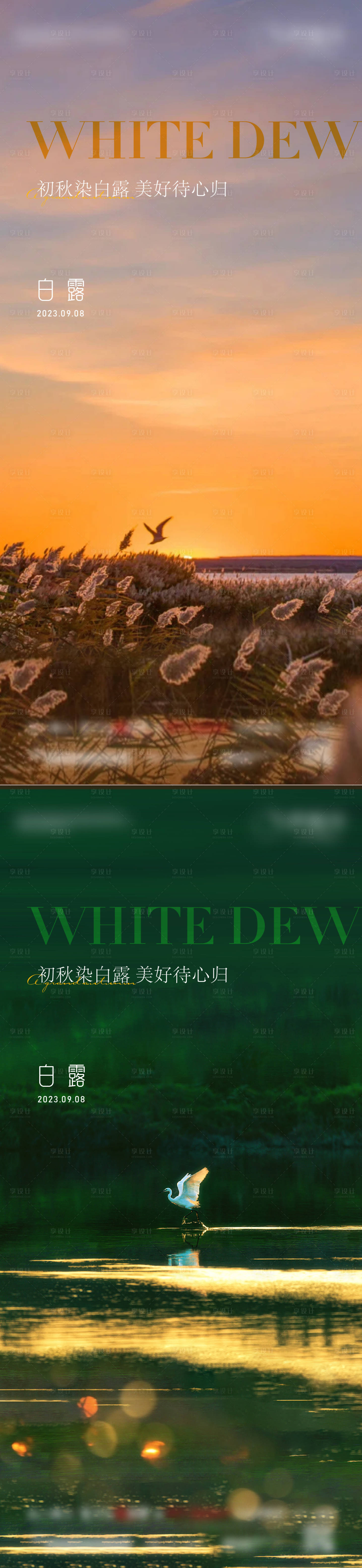 源文件下載【享設(shè)計(jì)】搜索編號(hào)：39920020729783650【白露節(jié)氣海報(bào)】