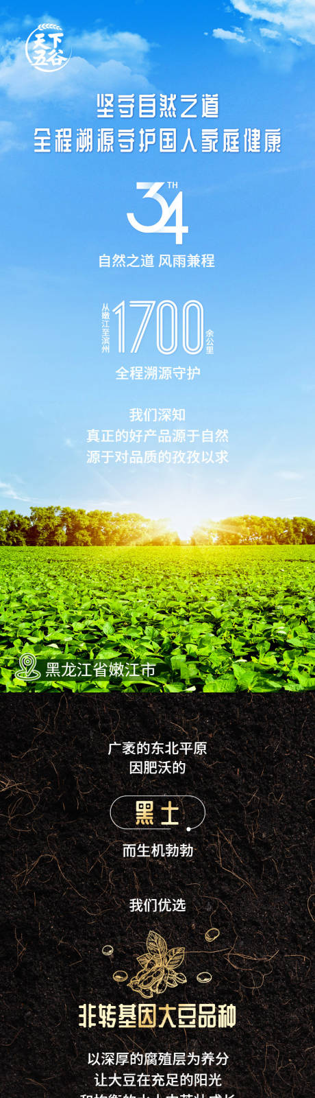 编号：20231214162505097【享设计】源文件下载-农产品粮油系列海报