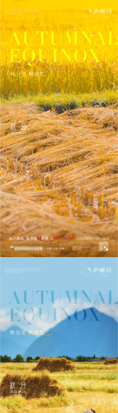 源文件下载【秋分海报】编号：29600020729641166