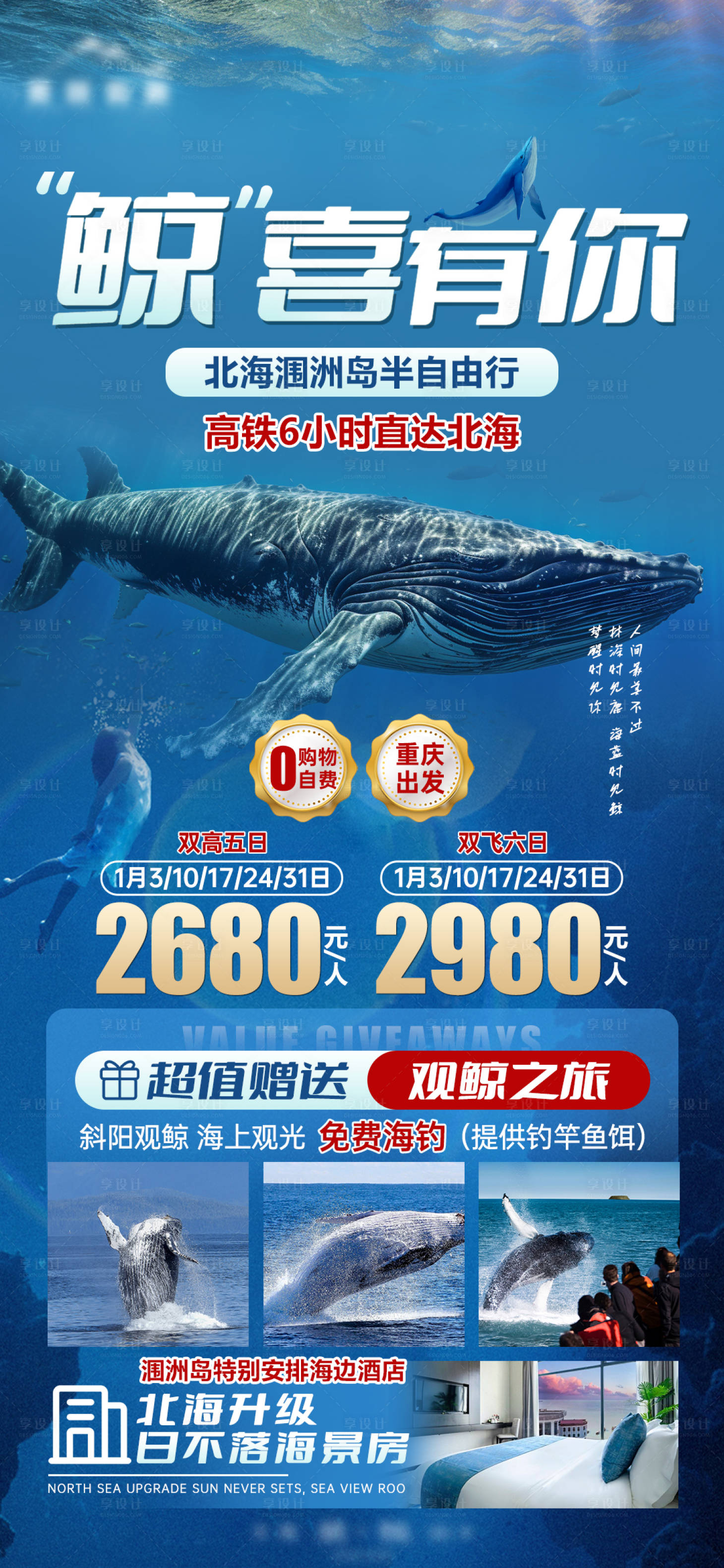 源文件下载【享设计】搜索编号：37730021190559457【鲸喜有你观光海报】