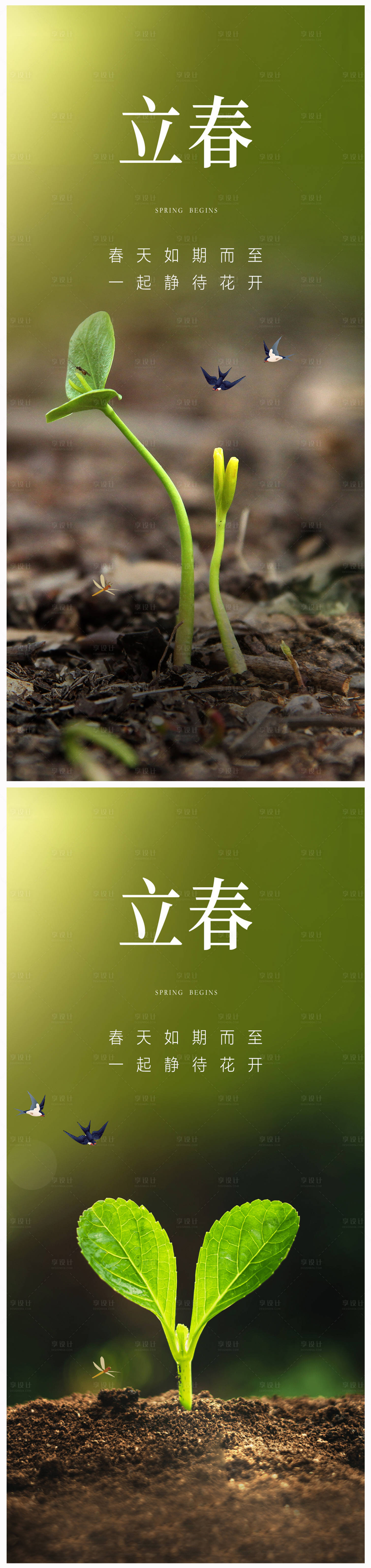 源文件下載【享設計】搜索編號：24130020836978062【地產立春海報】