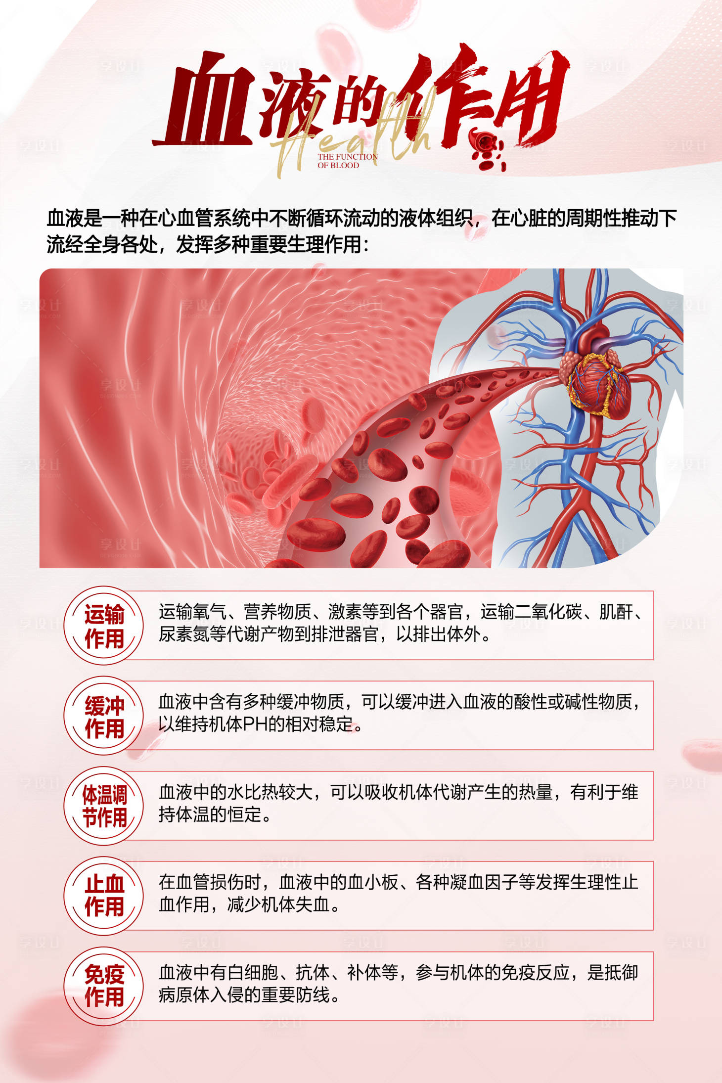 源文件下载【血液的作用 】编号：55420021616535202
