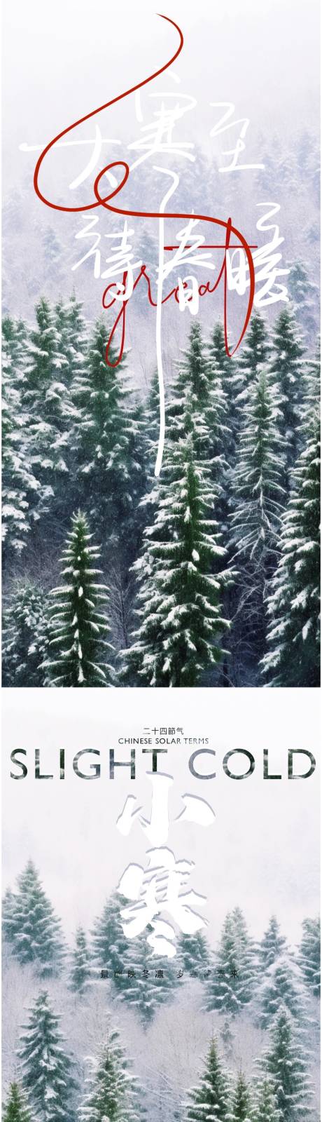编号：20240116062305213【享设计】源文件下载-大寒森林系列海报