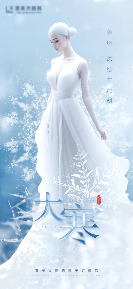 源文件下载【医美大寒节气海报】编号：70110021600909147