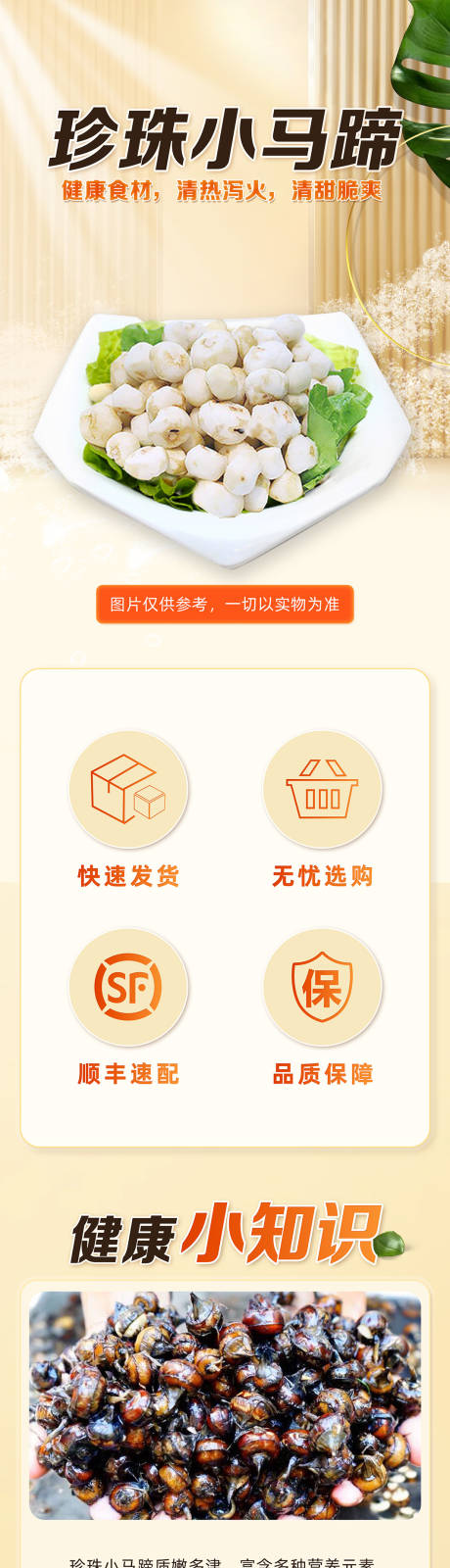 源文件下載【享設計】搜索編號：20260021728098798【珍珠小馬蹄詳情頁】