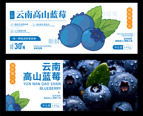 编号：79740021787628843【享设计】源文件下载-蓝莓包装贴纸