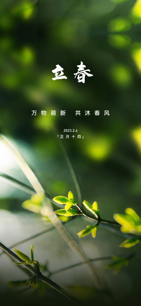 源文件下载【立春海报】编号：93380021665928365