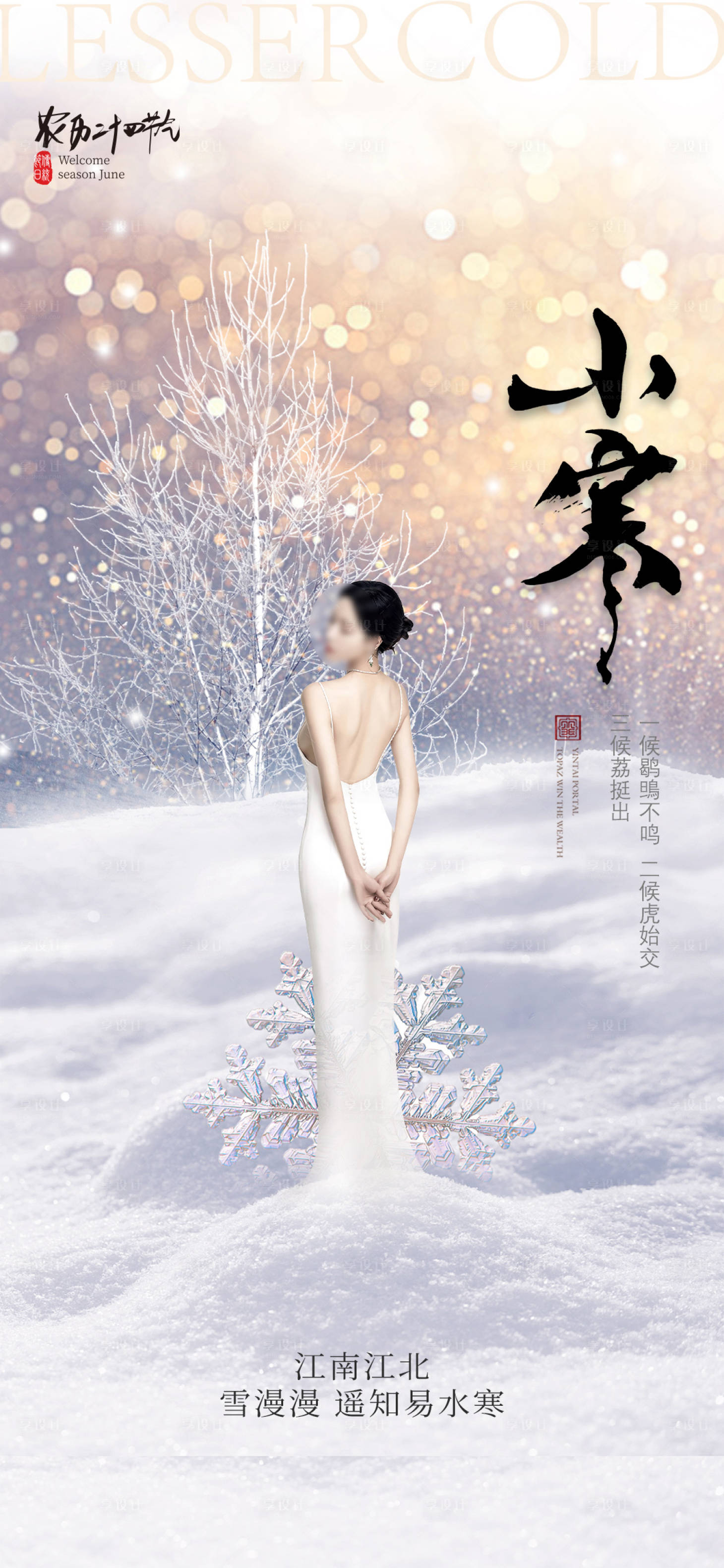 源文件下载【医美小寒节气海报】编号：76370021287571882