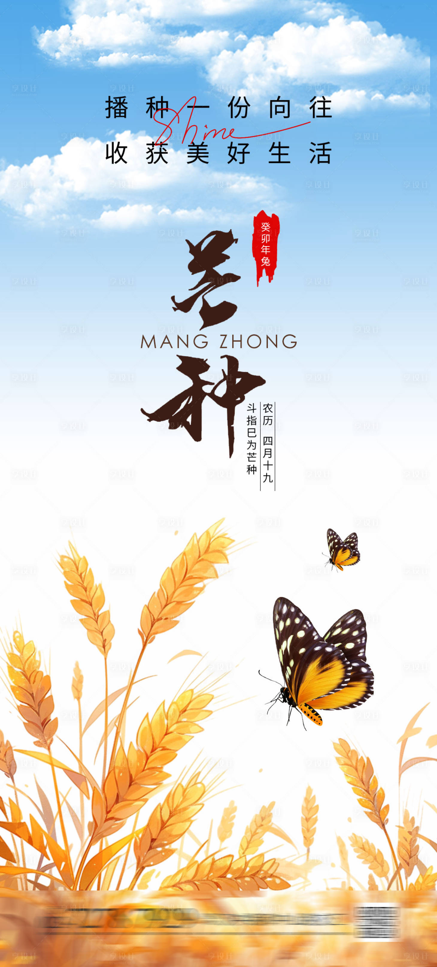 源文件下載【芒種節(jié)氣海報(bào)】編號(hào)：24900021543266012