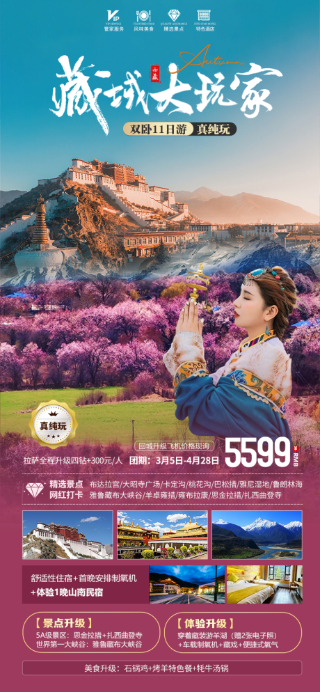 源文件下载【藏域大玩家】编号：29620021536046107