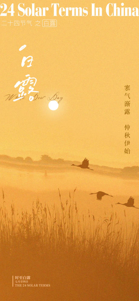 源文件下载【白露节气海报 】编号：94540021708315412