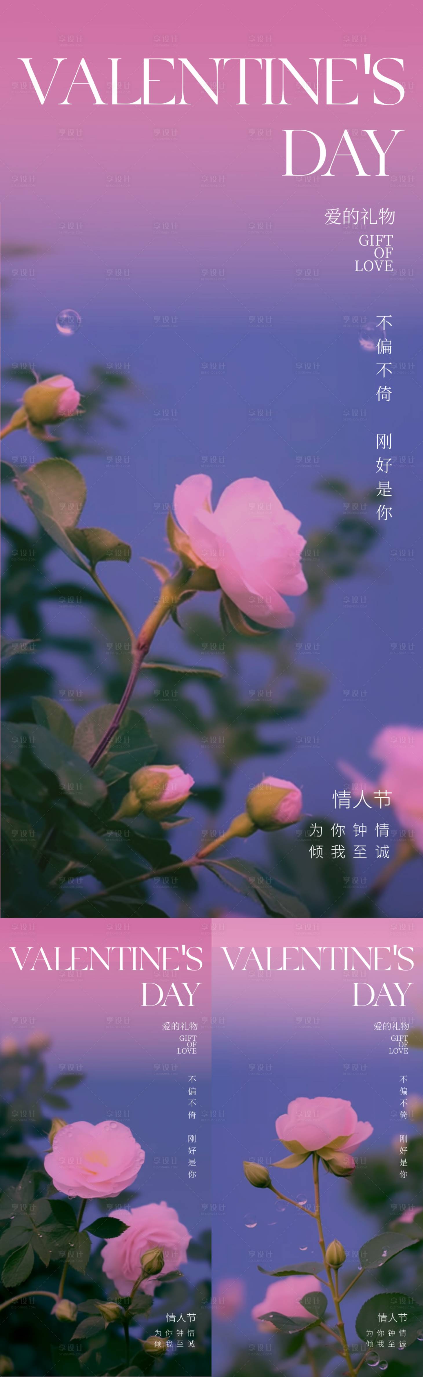 源文件下载【享设计】搜索编号：22410021823769309【情人节粉玫瑰海报】