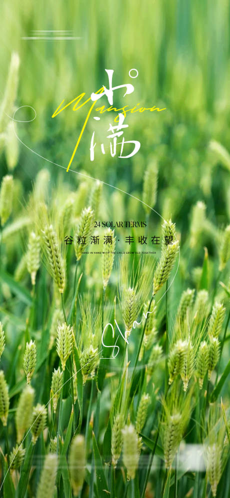 源文件下载【小满节气海报】编号：77870021518335246