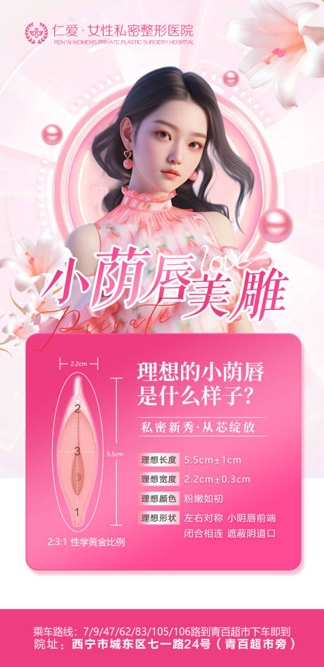 源文件下載【私密醫美科普海報】編號：86080021573572668