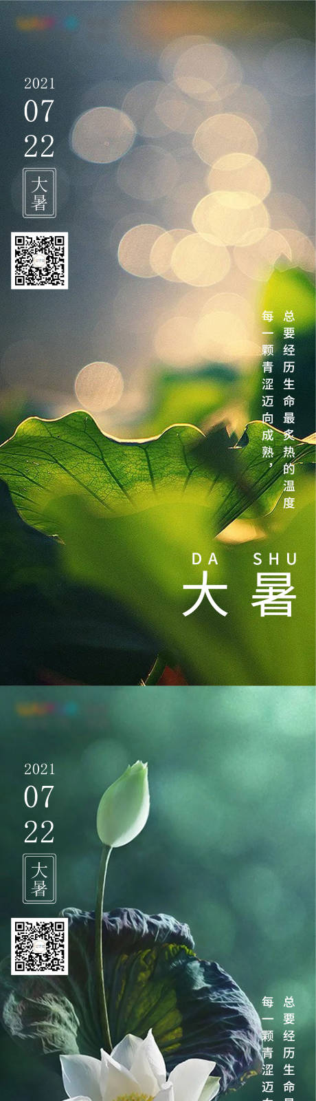 源文件下载【大暑节气海报】编号：67340021461702392