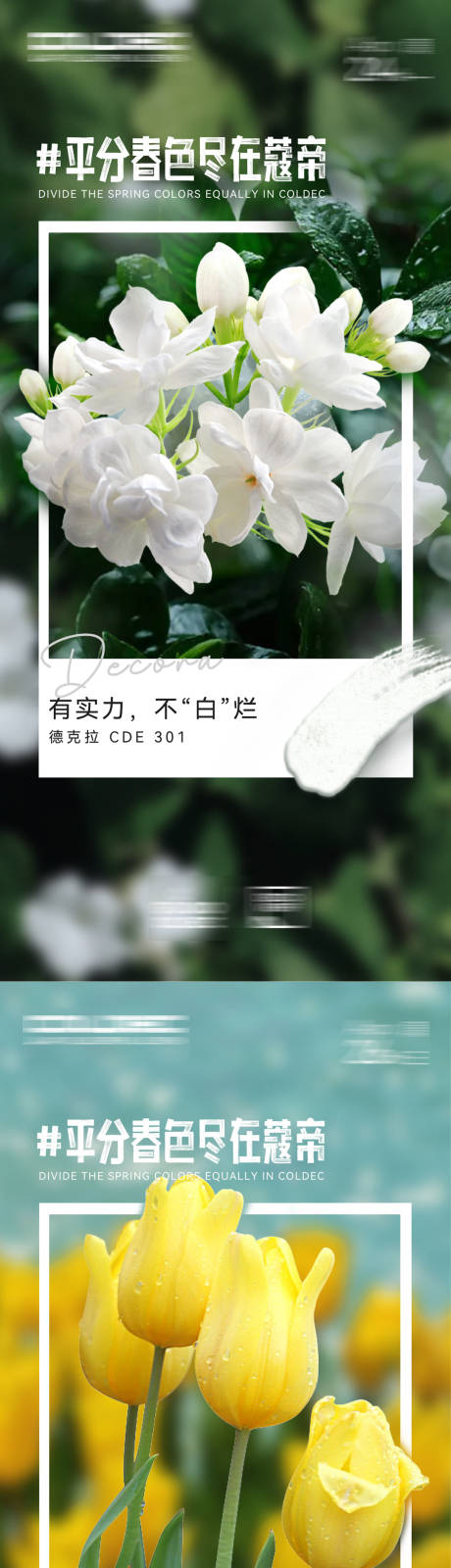 源文件下载【系列色彩海报】编号：94710021594988386