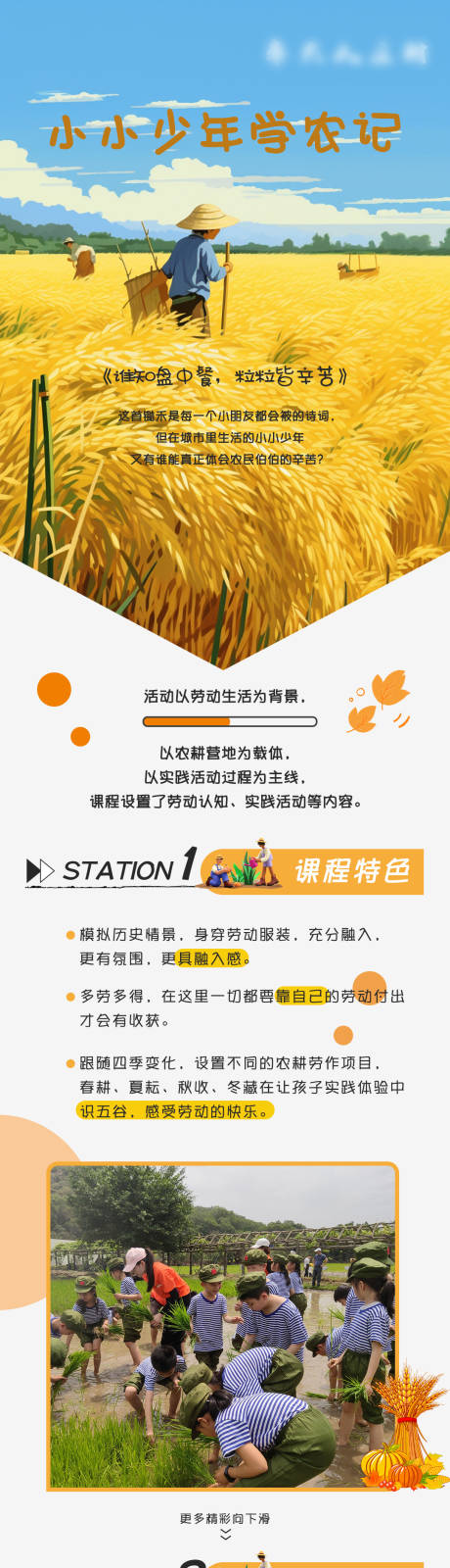 源文件下载【民宿活动农忙秋收长图海报】编号：39900021719799419