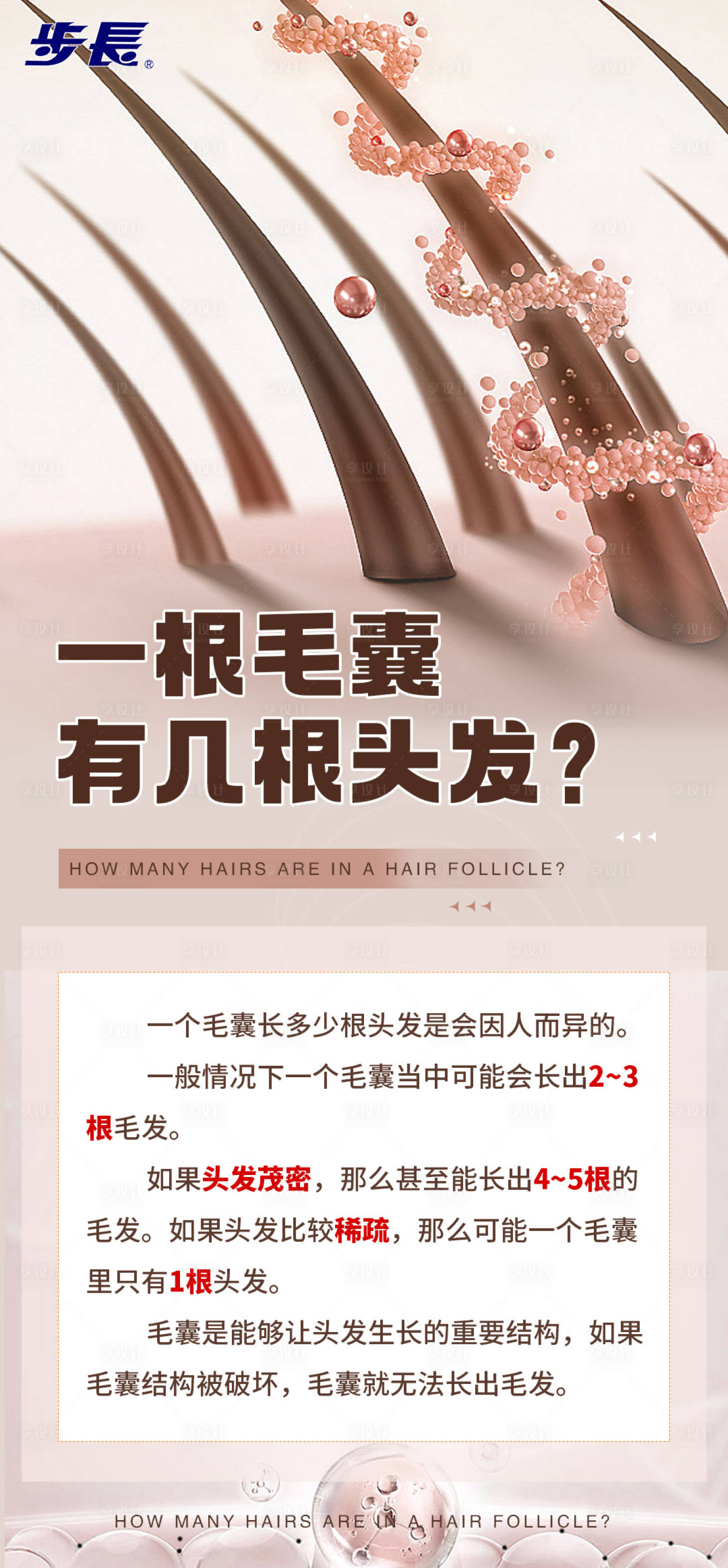 源文件下載【享設計】搜索編號：51230021805919054【科普小知識海報】