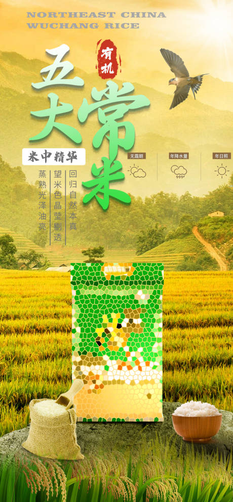 源文件下載【享設計】搜索編號：47640021555248808【東北五常大米海報】
