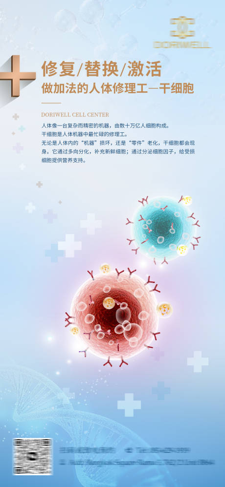 源文件下载【干细胞功能海报】编号：35680021753027176