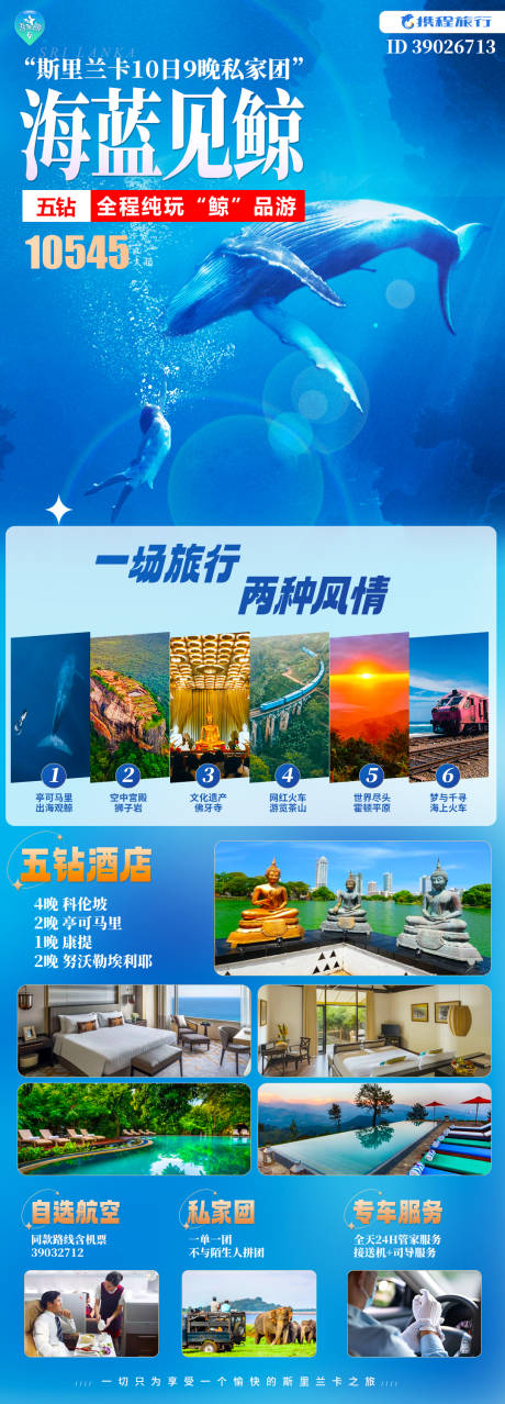 源文件下载【海蓝见鲸海报】编号：45630021438551649