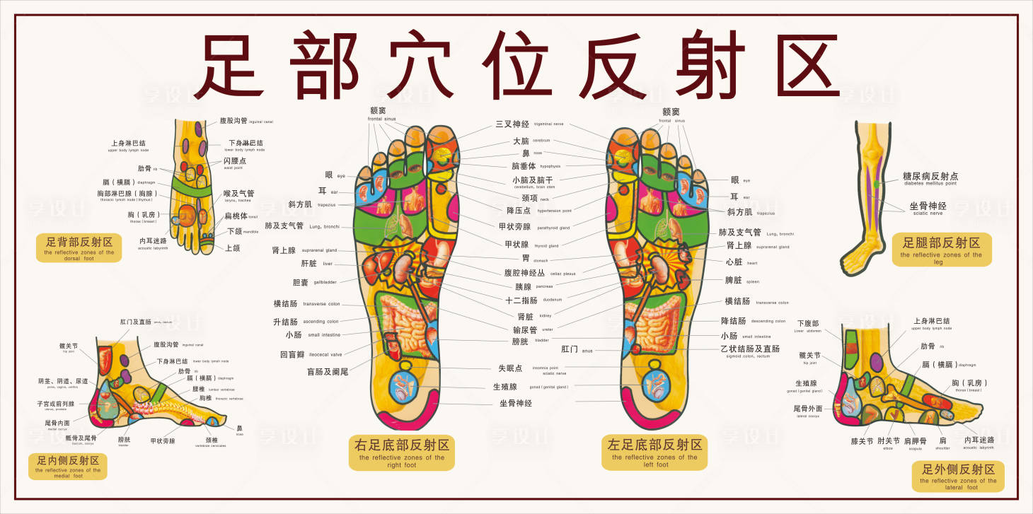 源文件下载【享设计】搜索编号：38560021678769373【足部穴位图展板】