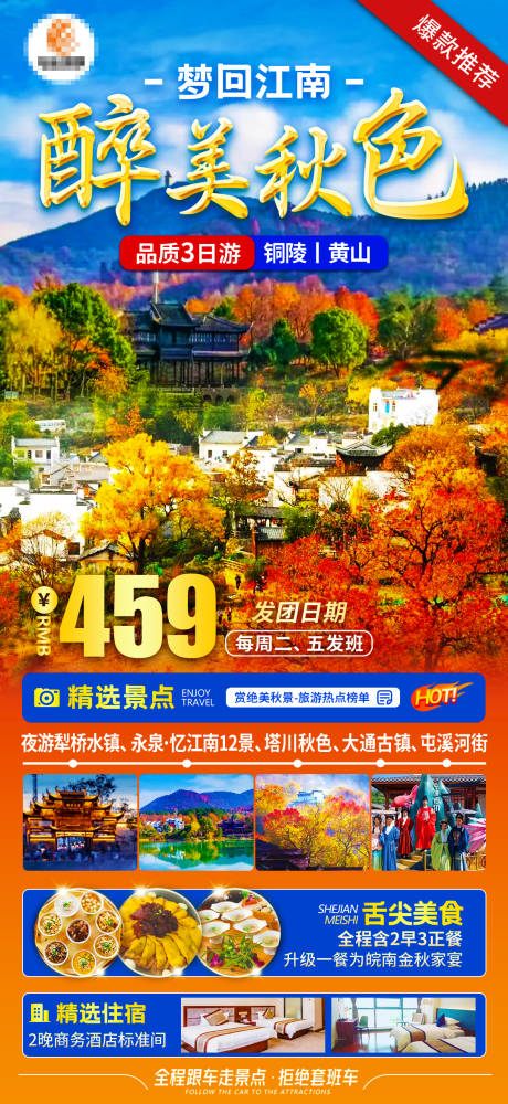 秋季赏秋旅游海报