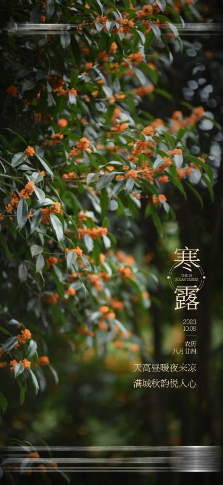源文件下载【地产寒露海报】编号：99880021674625488