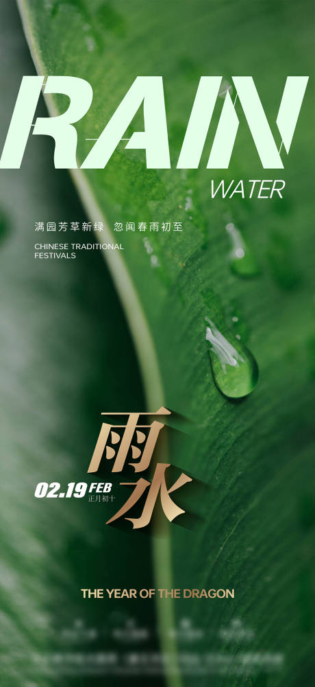 源文件下载【雨水海报】编号：56390021696853279