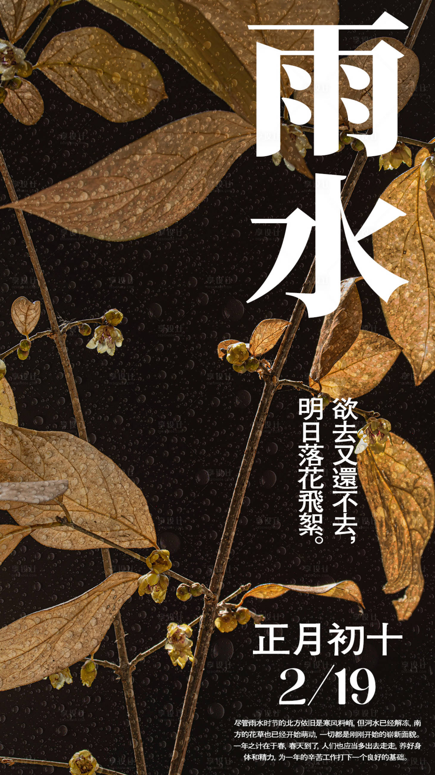 源文件下载【雨水海报 】编号：30820021604154733