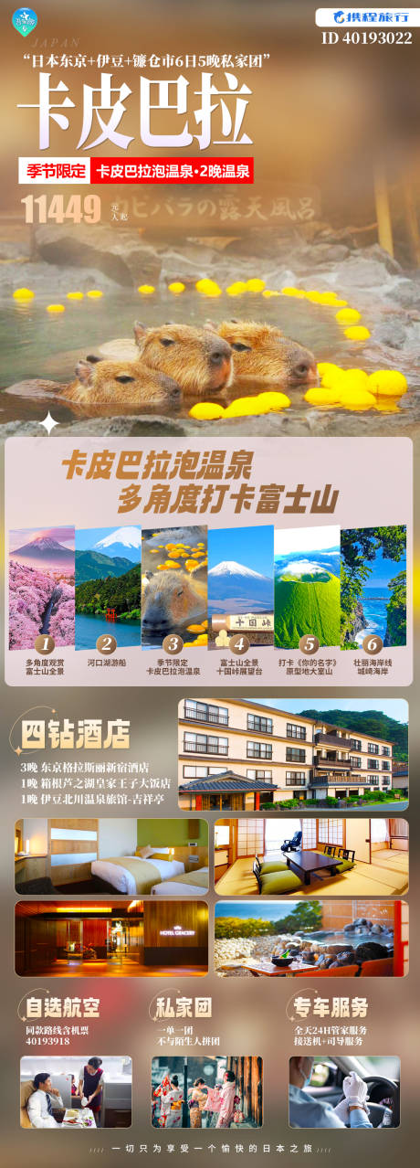 源文件下载【卡皮巴拉】编号：80440021570861539