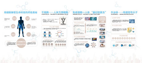 源文件下载【企业文化墙】编号：91660021334481353