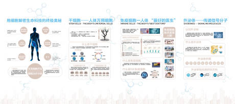 源文件下载【企业文化墙】编号：20240104210754893