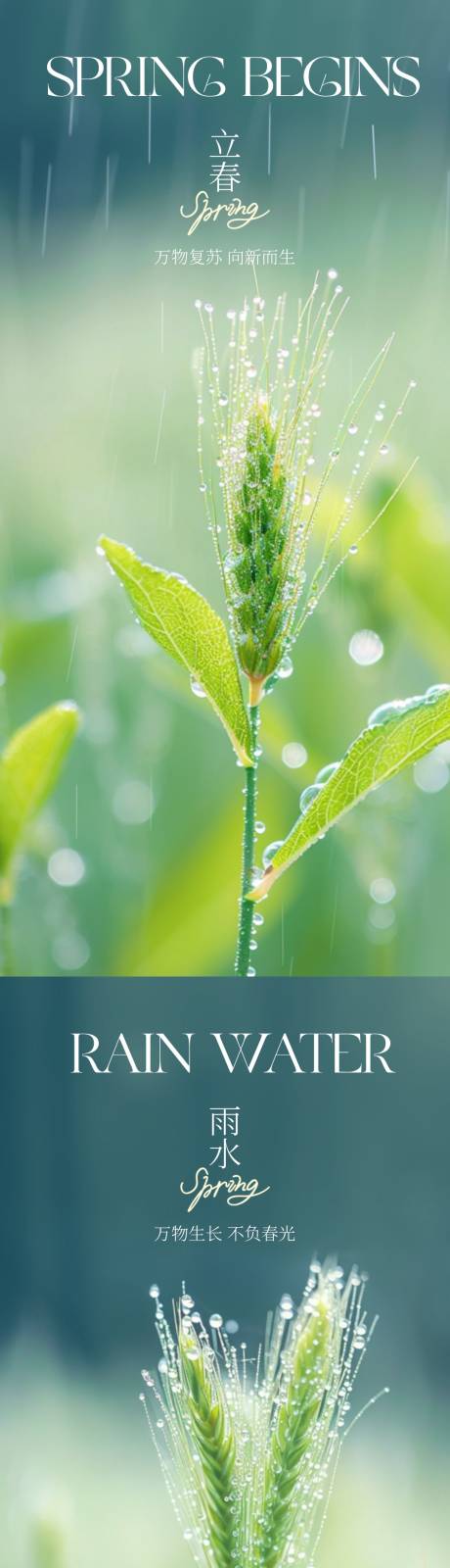 源文件下載【立春雨水節氣海報】編號：95900021781246255