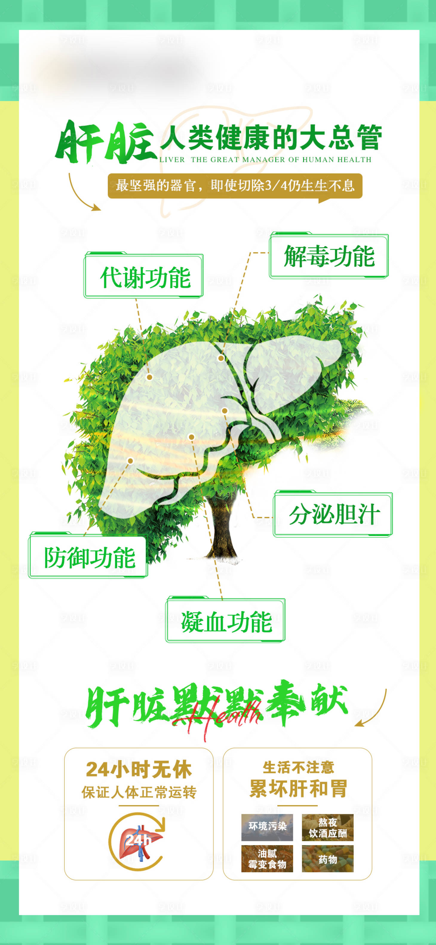 源文件下载【肝脏健康功能海报（TIF用PS打开）】编号：92870021807024128