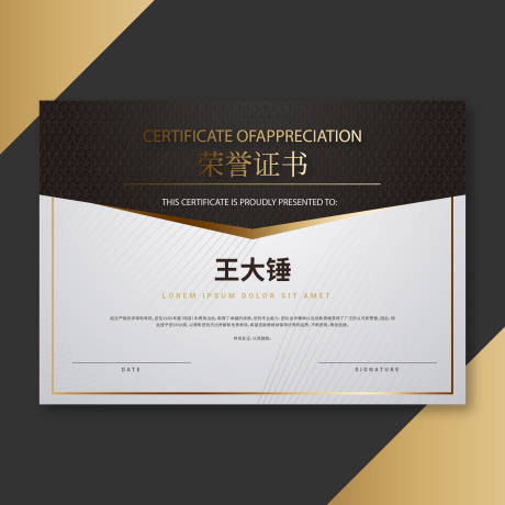 源文件下载【荣誉证书海报展板】编号：15720021264263060