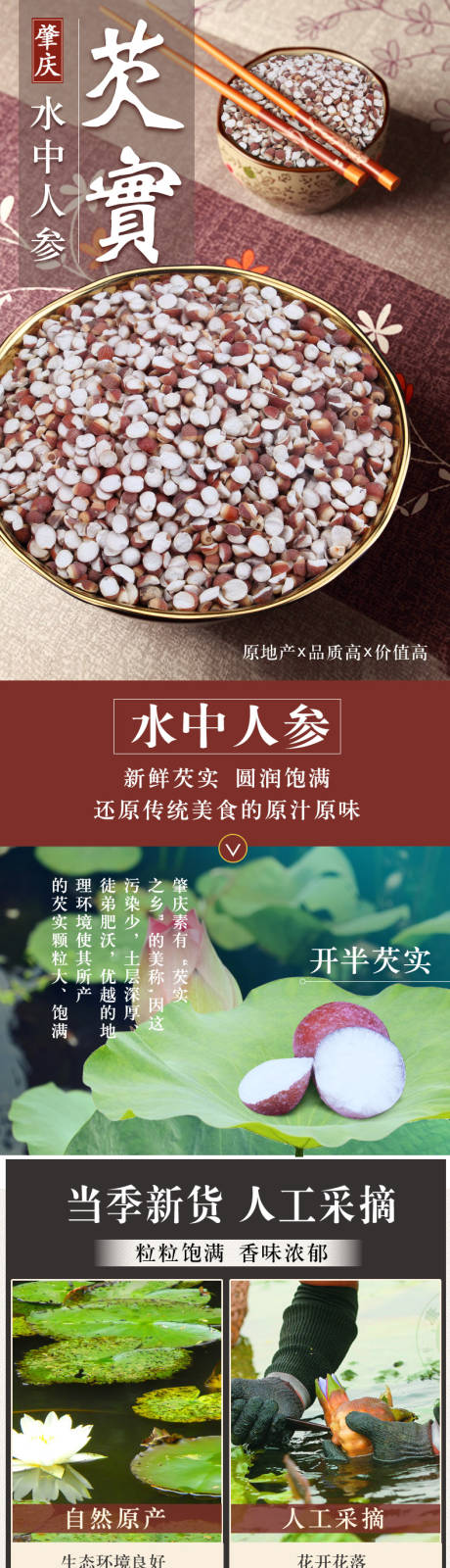 源文件下载【芡实】编号：42310021355932119
