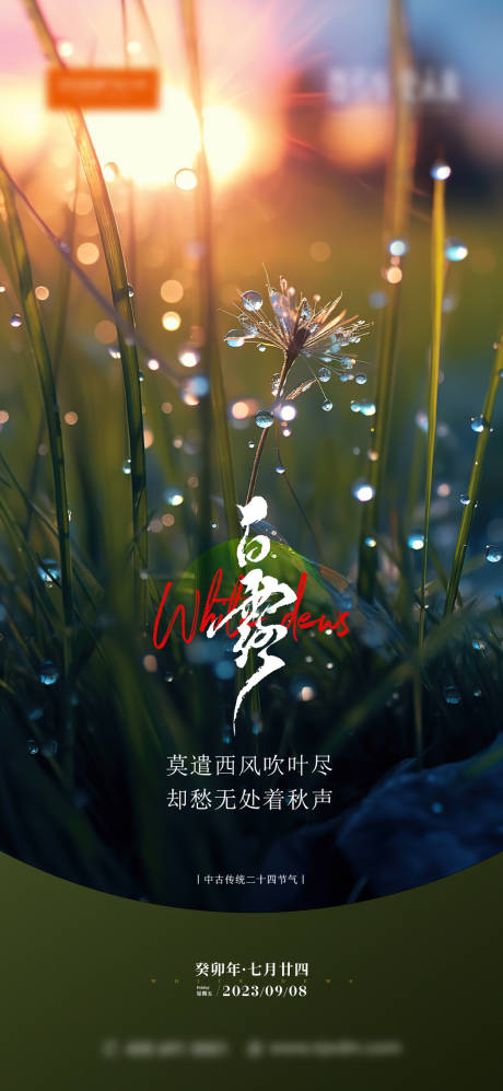 源文件下载【白露海报】编号：56400021653765109
