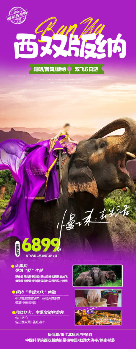 源文件下載【云南春節西雙版納旅游海報】編號：34750021346767802