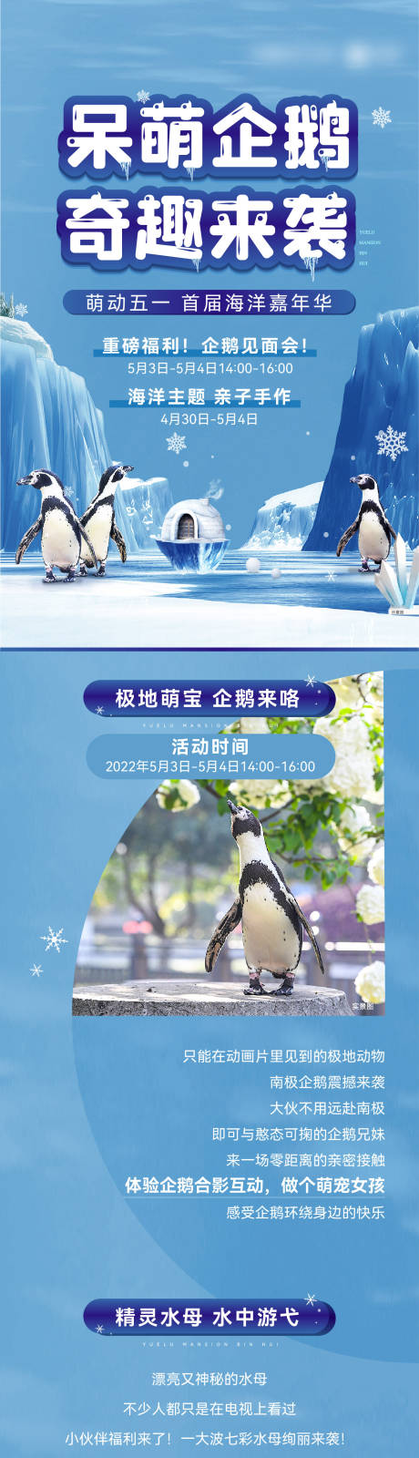 编号：20240109124216703【享设计】源文件下载-五一企鹅活动海报
