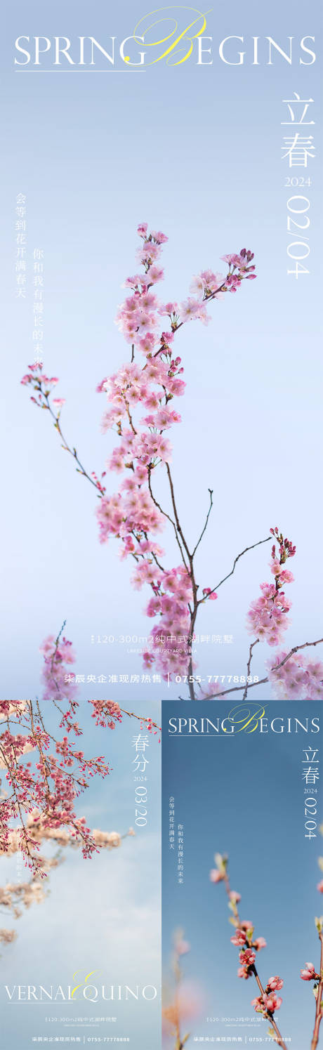 立春春分花卉节气系列海报-源文件【享设计】