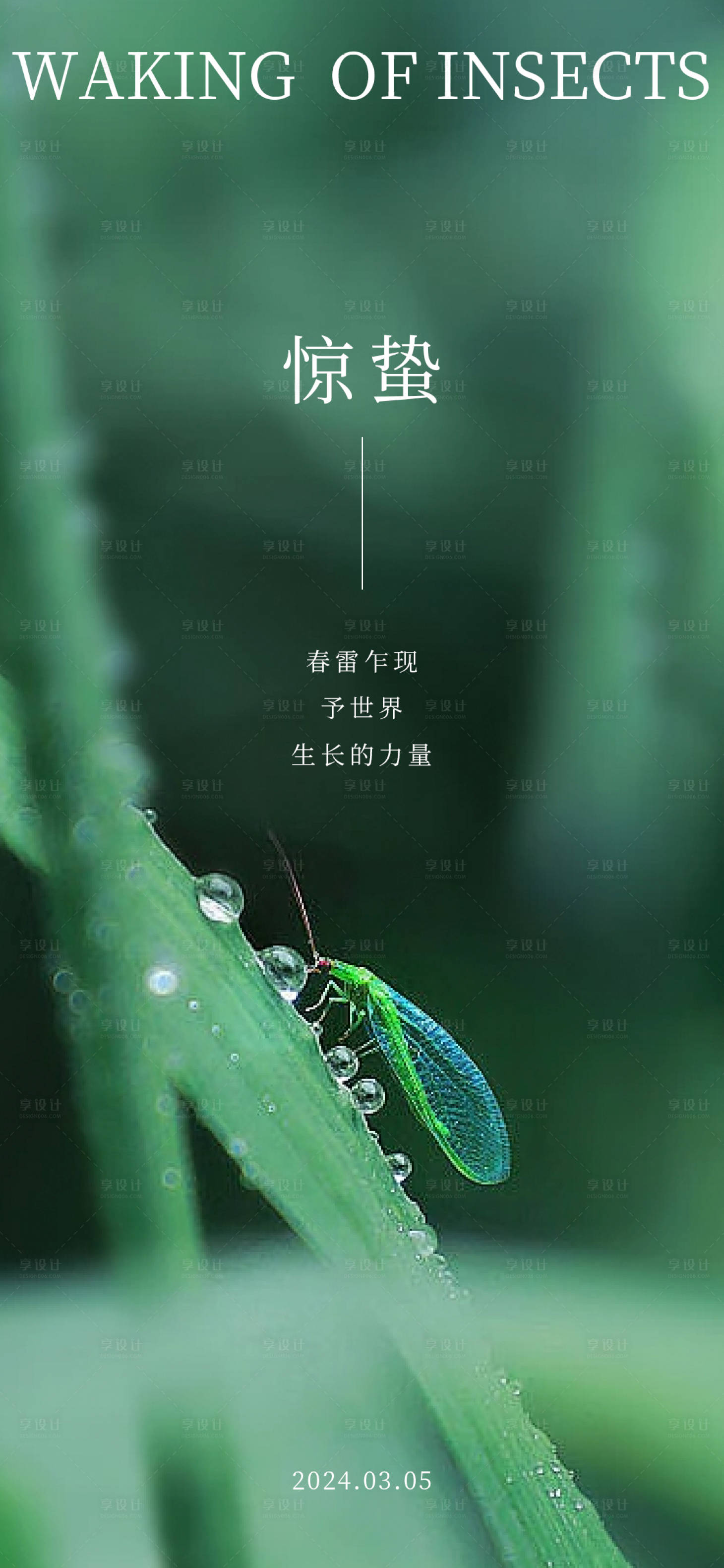 源文件下载【享设计】搜索编号：74380022135825164【惊蛰二十四节气海报】
