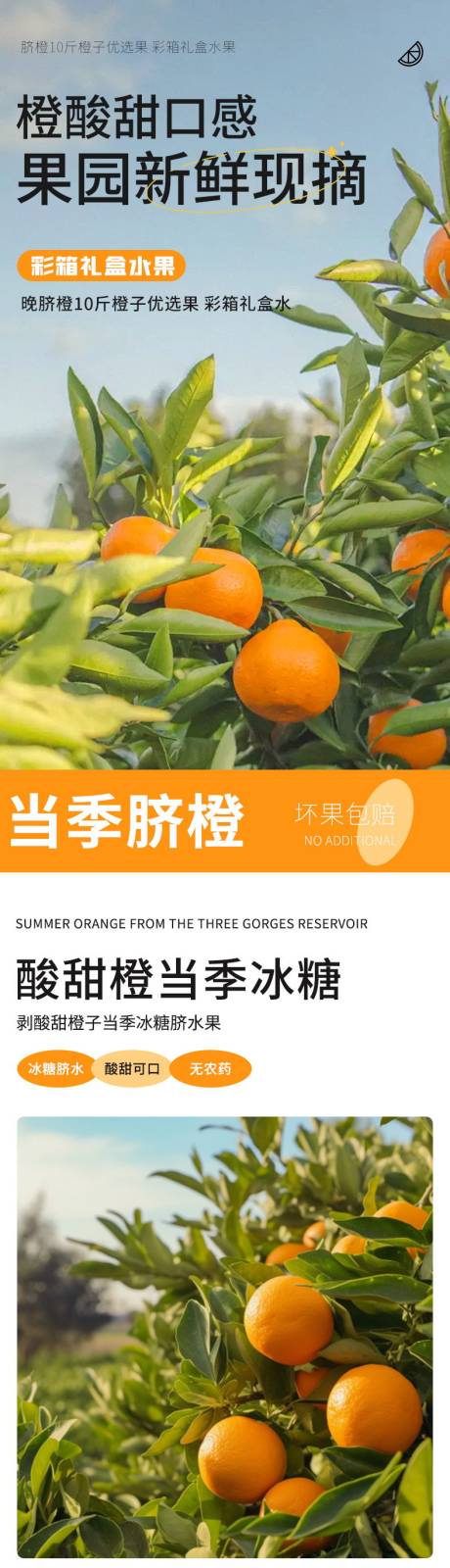 源文件下载【橙子水果详情页】编号：27790021949102554