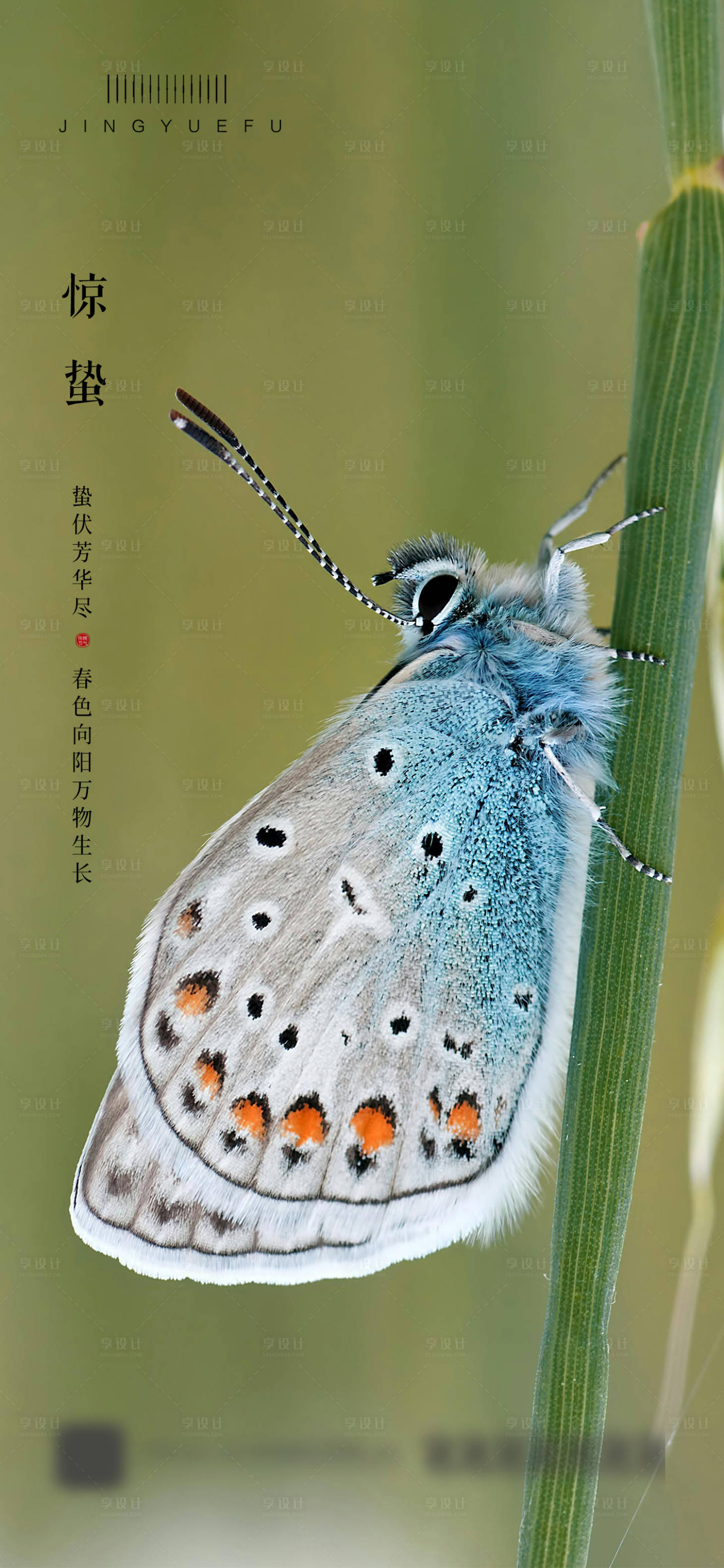 源文件下载【享设计】搜索编号：19940022144646725【惊蛰海报】